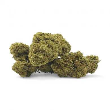 Fleur de CBD verte : assortiment de trois bourgeons touffus