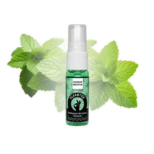 Spray nettoyant KLEANTOX menthe, flacon vert et feuilles de menthe