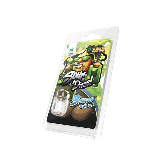 3 Graines Sour Diesel AUTO Plant of Life