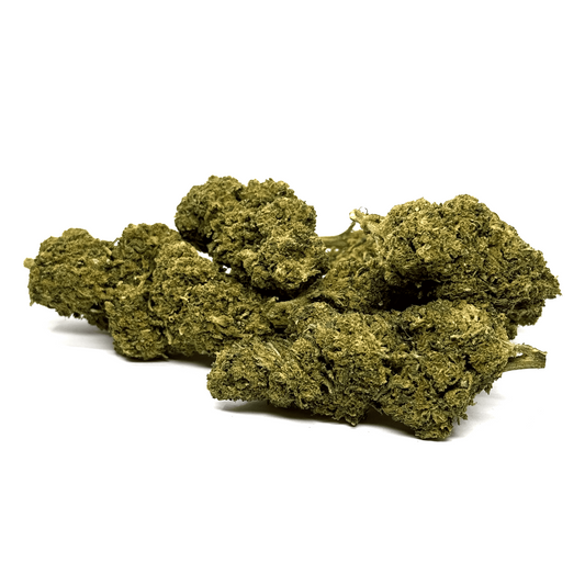 Fleur de cannabis Mango Kush, têtes vert olive, aspect friable