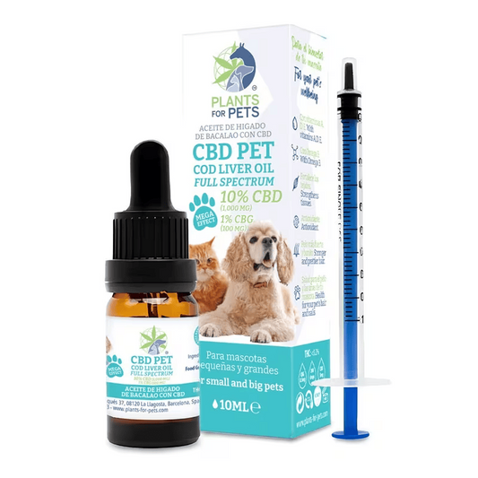 Huile CBD pour animaux en flacon ambré avec compte-gouttes et coffret, 10 % CBD, 1 % CBG