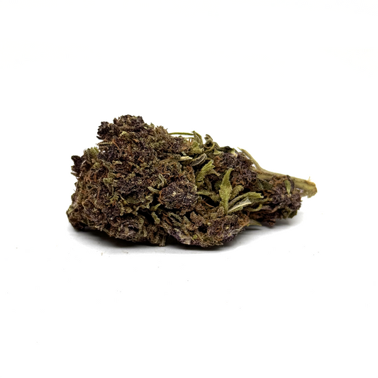 Fleur de CBD compacte brun‑violet, gros bourgeons visibles