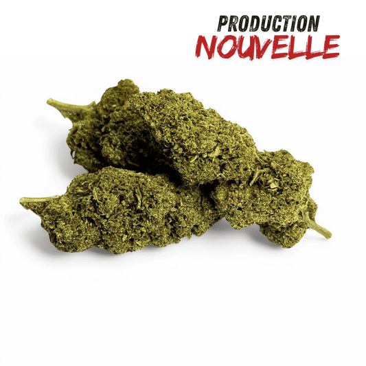 Fleurs CBD vertes en morceaux, aspect dense et résineux