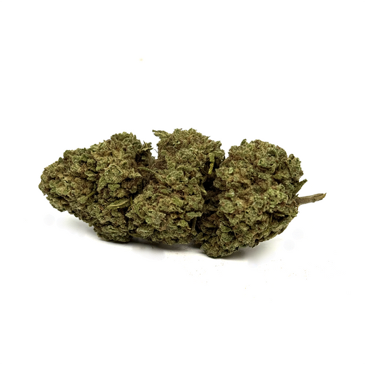 Fleur de CBD White Widow Greenhouse : têtes vert olive compactes