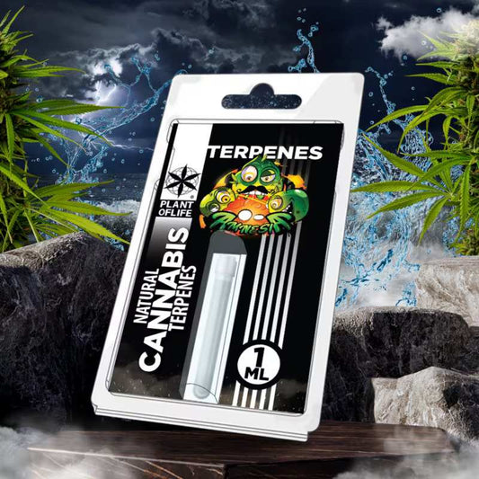 Coffret de terpènes en flacon 1 ml, emballage blister noir et vert