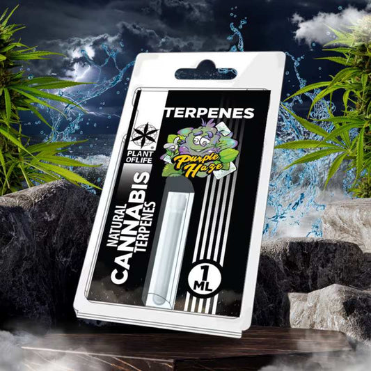 Boîte de terpènes TERPENES Purple Haze, flacon 1 ml, blister