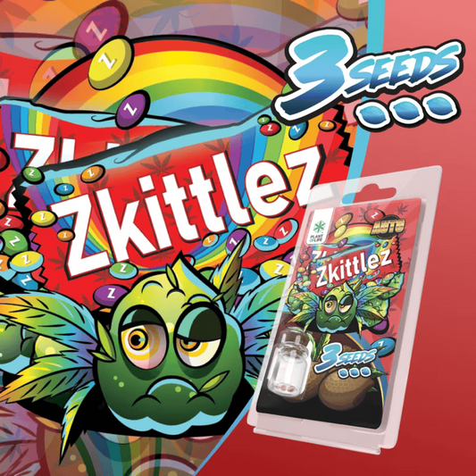 Paquet de graines Zkittlez AUTO 3 graines, emballage Plant of Life