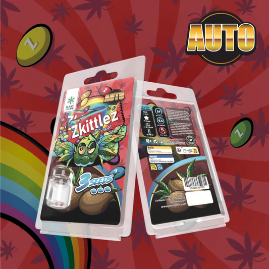 Deux paquets de graines Zkittlez AUTO 3 graines, face et notice Plant of Life