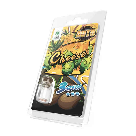 Pochette de graines AUTO Cheese, emballage avec 3 graines et fenêtre plastique
