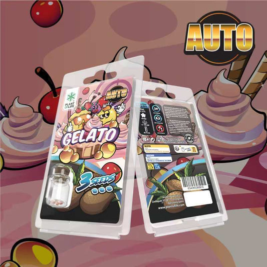 Pochette de graines auto Gelato Plant of Life, 3 graines, emballage blister