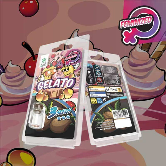 Pack de 3 graines Gelato féminisées, sur blister, étiquette avec pictos