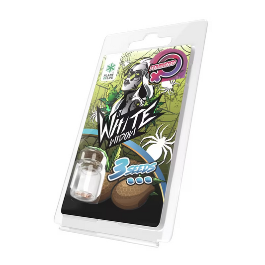 Paquet de graines White Widow FÉMINISÉE Plant of Life, 3 graines