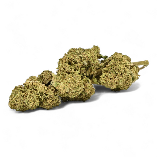 Fleurs de CBD Premium : fleurs séchées vert olive