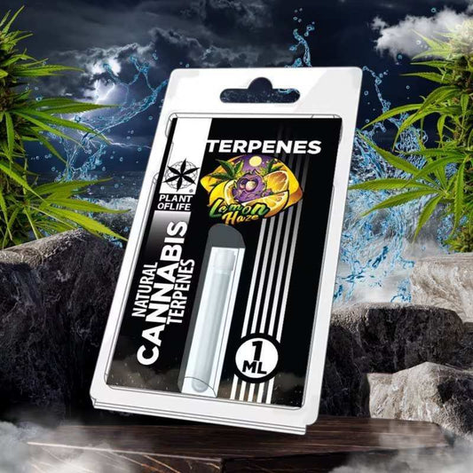 Coffret de terpènes Lemon Haze PLANT OF LIFE, flacon transparent 1 ml en blister