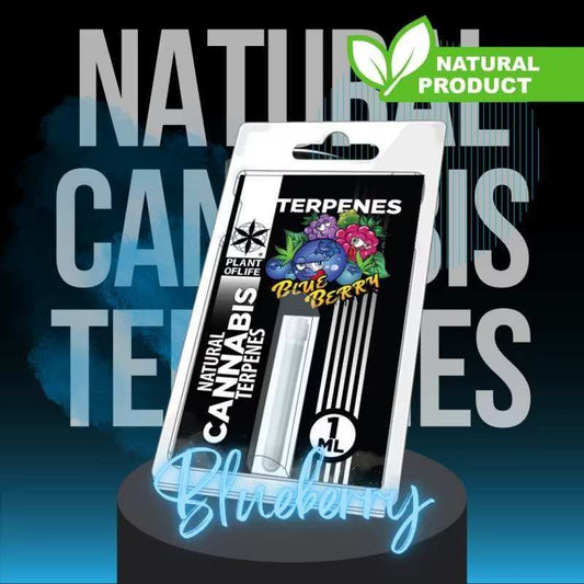 Pack de terpènes Blueberry Diesel PLANT OF LIFE, flacon 1 mL en blister
