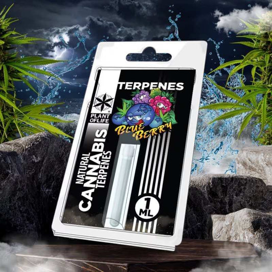 Pack de terpènes Blueberry Diesel PLANT OF LIFE, étiquette Terpenes, flacon 1 mL