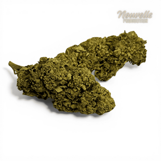 Fleurs de CBD en vrac vert olive, têtes et feuilles visibles
