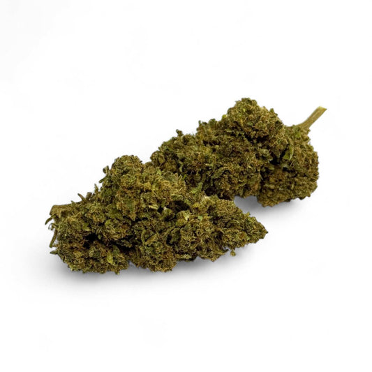 Fleur de CBD Cannatonic verte, têtes de fleurs denses séchées, brins visibles