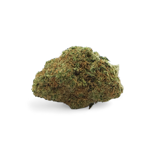 Fleur de CBD indoor, petit bourgeon vert dense, texture granuleuse