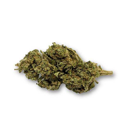 Fleur de CBD vert clair, boutons denses et feuilles séchées, tiges fines apparentes
