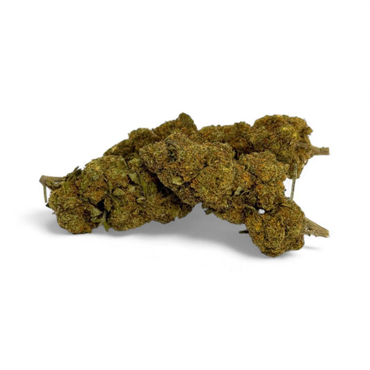 Fleurs de CBD vertes en petits bouquets, tiges fines et pistils visibles