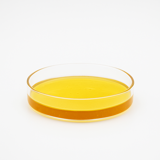 Distillat CBN 50% : liquide jaune ambré dans une coupe en verre