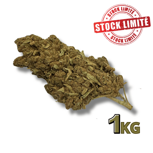 Lot de fleurs de CBD séchées vert olive, 1 kg