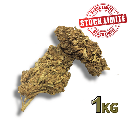 Lot de fleurs de CBD séchées brun doré, 1 kg