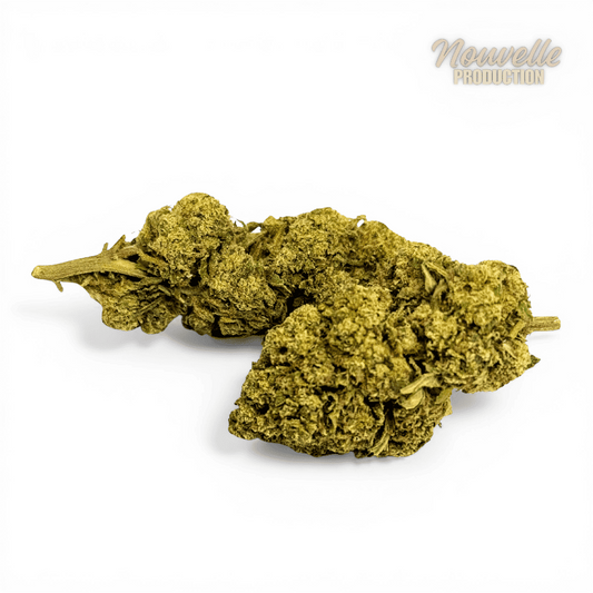 Fleurs de CBD vertes, trois gros bourgeons et feuilles fines visibles