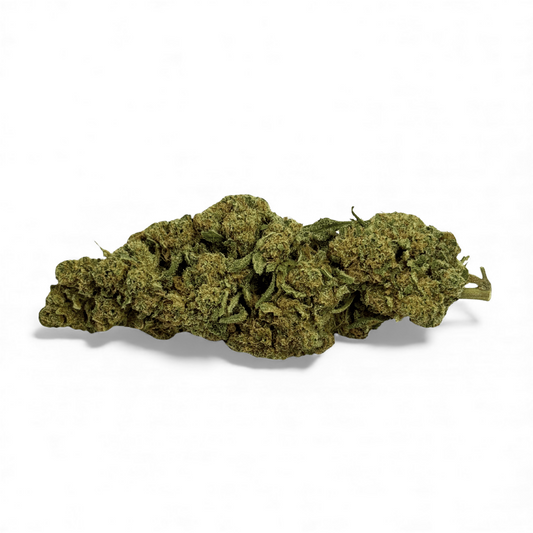 Fleur de CBD compacte aux buds vert olive, forme allongée.