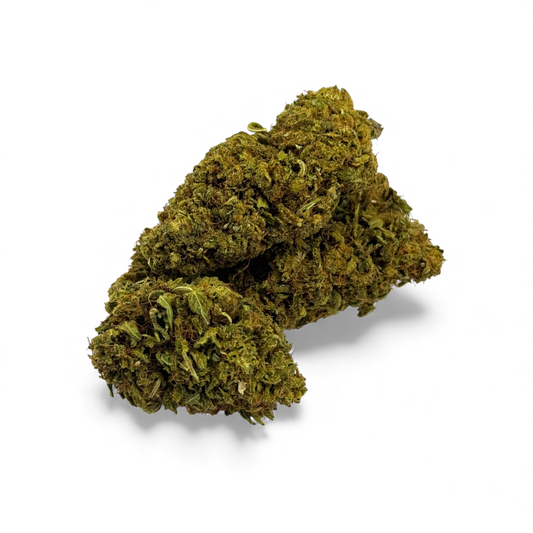 Fleur de CBD vert olive, bourgeons compacts et denses