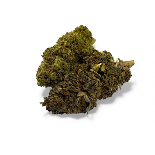 Fleur de CBD verte, fleurs compactes et tiges visibles