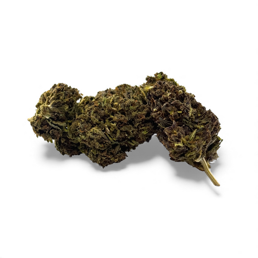 Fleur de CBD verte et brunâtre, boutons émiettés avec tige