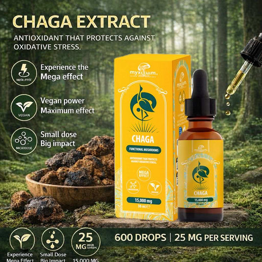 Extrait de chaga en flacon compte-gouttes ambré 30 ml et étui jaune