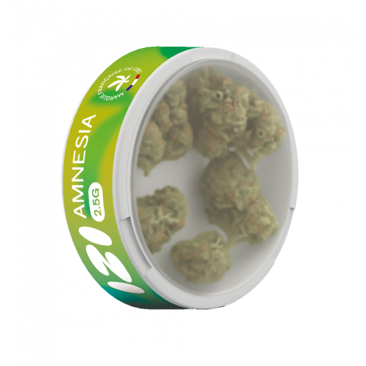 Pot de fleurs CBD Amnesia 2,5 g IZI, fleurs visibles à travers le couvercle