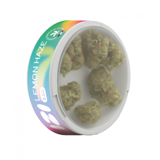 Pot CBD Lemon Haze 2,5 g IZI, vue latérale avec fleurs vertes visibles