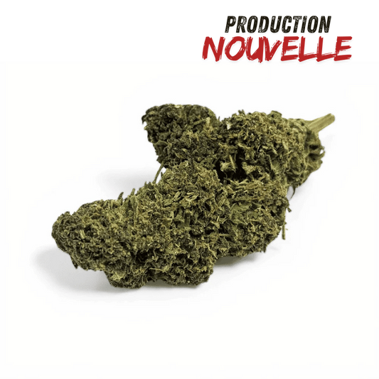 Fleur CBD hybride indoor en vrac, petits bourgeons verts et tiges