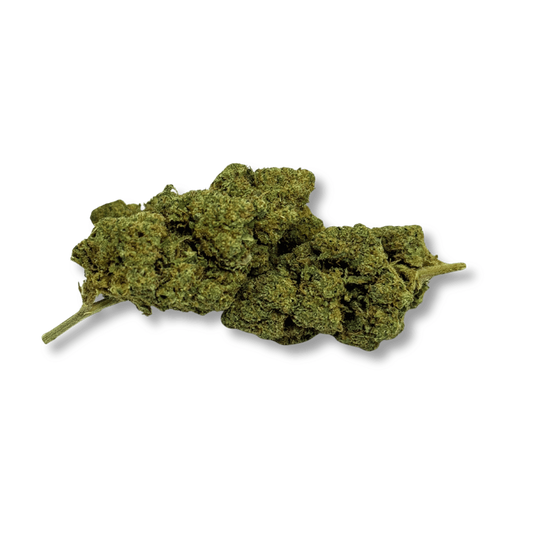Fleur de CBD en bourgeons vert olive, grande masse compacte.