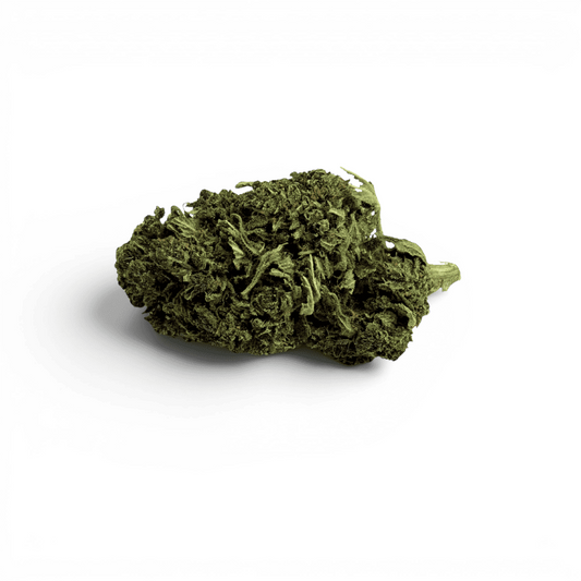 Fleur de CBD d’intérieur verte, bourgeons compacts au aspect mousseux.
