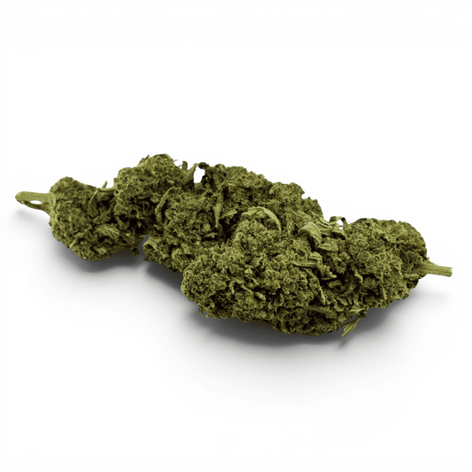 Fleur de CBD Super Skunk indoor, fleurs vert olive séchées, forme compacte