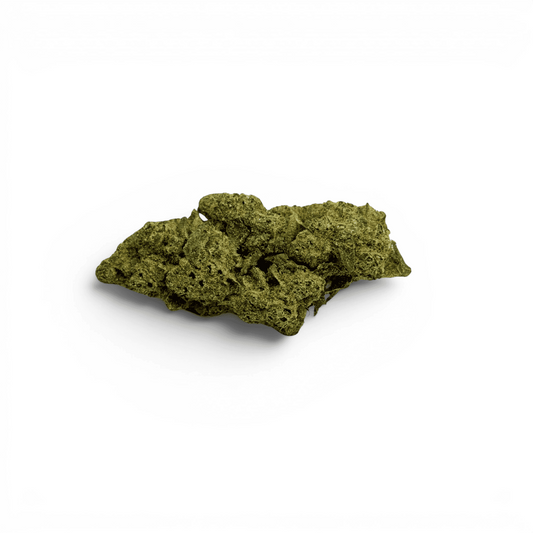 Fleur de CBD verte, petit nœud compact, texture granuleuse