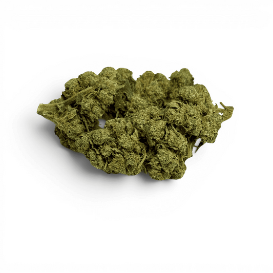 Fleur de CBD vert séchée, bourgeons compacts et tiges fines