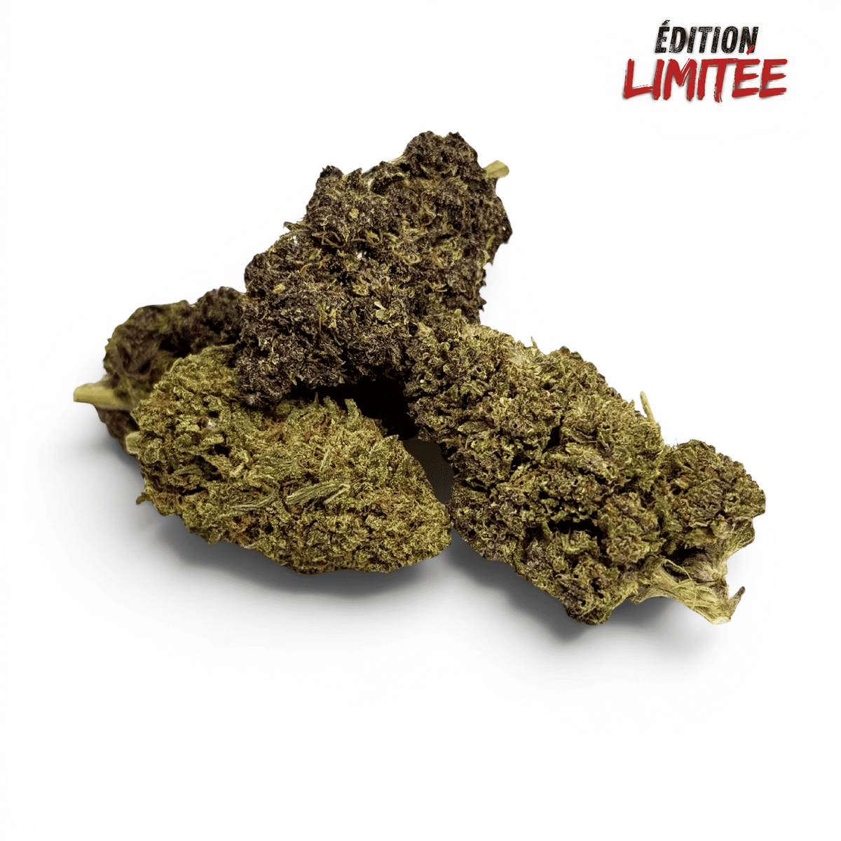 Fleur de CBD séchée, têtes vert olive et brun foncé, Édition limitée.