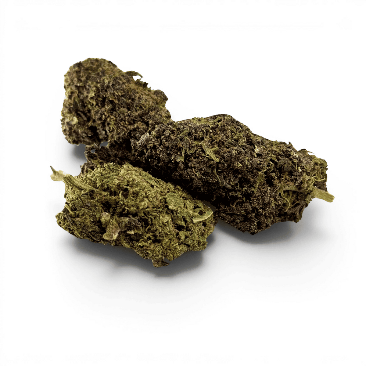 Fleur de CBD séchée, grosses têtes vert olive avec zones brun foncé, compactes.
