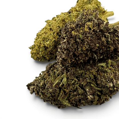 Fleur de CBD séchée, têtes vert olive et brun, texture dense en gros plan.