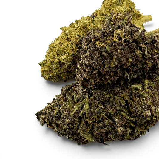 Fleur de CBD séchée, têtes vert olive et brun, texture dense en gros plan.