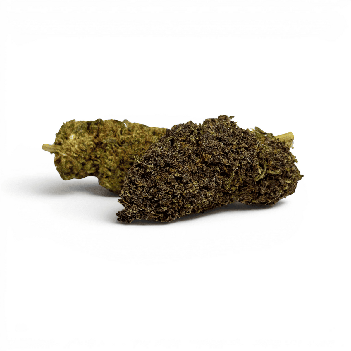 Fleur de CBD séchée, têtes vert olive et brun foncé, forme compacte.