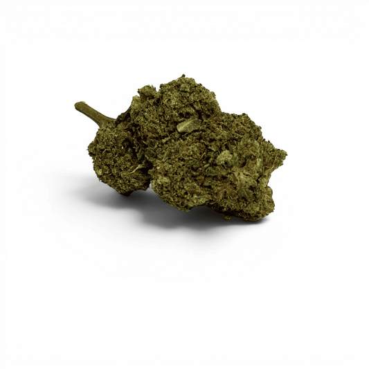 Fleur de CBD Greenhouse CBDX : bourgeons vert olive séchés