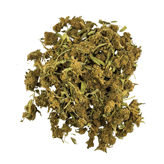 Biomasse de chanvre séchée en vrac, feuilles et tiges vert olive