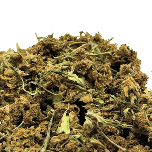 Biomasse de chanvre séchée en gros plan, brins et feuilles vert olive